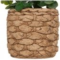 Atmosphera Artificial eucalyptus JAYE in ceramic pot, height 27 cm Atmosphera Artificial eucalyptus JAYE in ceramic pot, height 27 cm
