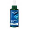 Weleda Anti-Falten Serum Blauer Enzian & Edelweiß Veido serumas 30 ml Moteriškas Weleda Anti-Falten Serum Blauer Enzian & Edelweiß Veido serumas 30 ml Moteriškas