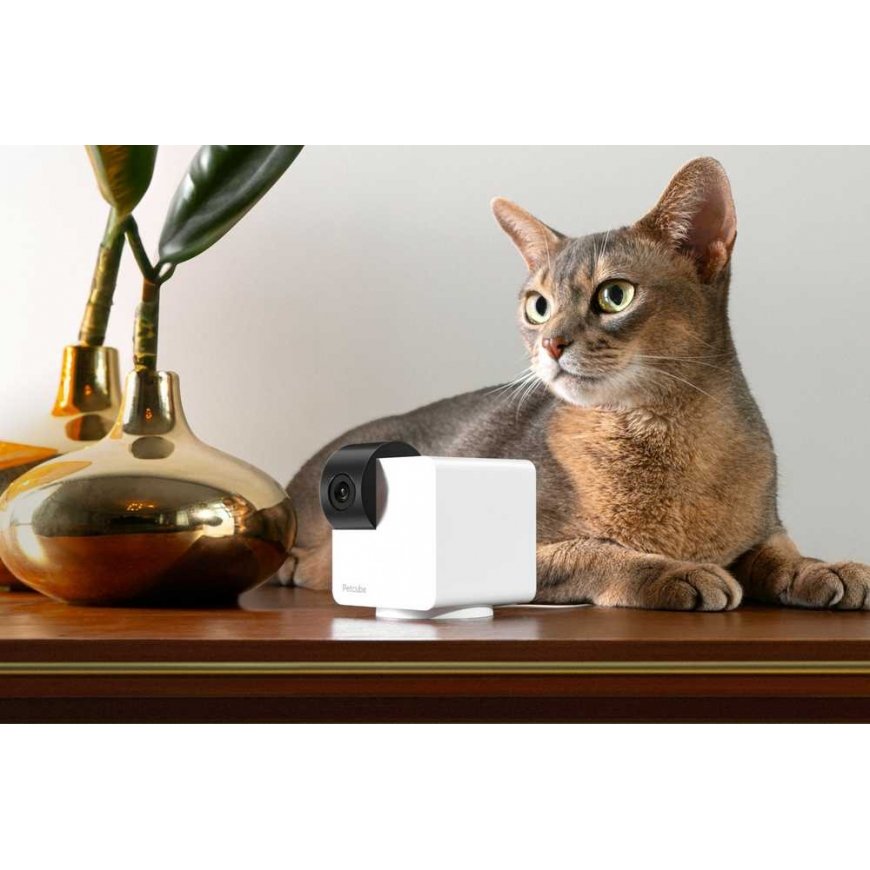 Tesla Petcube - Petcube Cam 360 - (854592007523) – 2