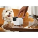 Tesla Petcube - Petcube Cam 360 - (854592007523)