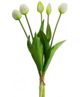 Eurofirany KW/NATU/473/B+G+Green/BOOUQUET