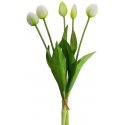 Eurofirany KW/NATU/473/B+G+Green/BOOUQUET Eurofirany KW/NATU/473/B+G+Green/BOOUQUET