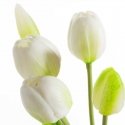 Eurofirany KW/NATU/473/B+G+Žalias/BOOUQUET Eurofirany KW/NATU/473/B+G+Žalias/BOOUQUET