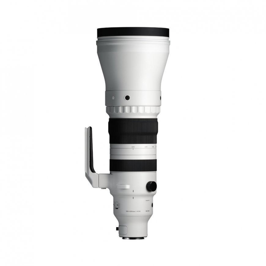 Sigma SPORTS 300-600mm F4 DG OS, Sony E-Mount – 2