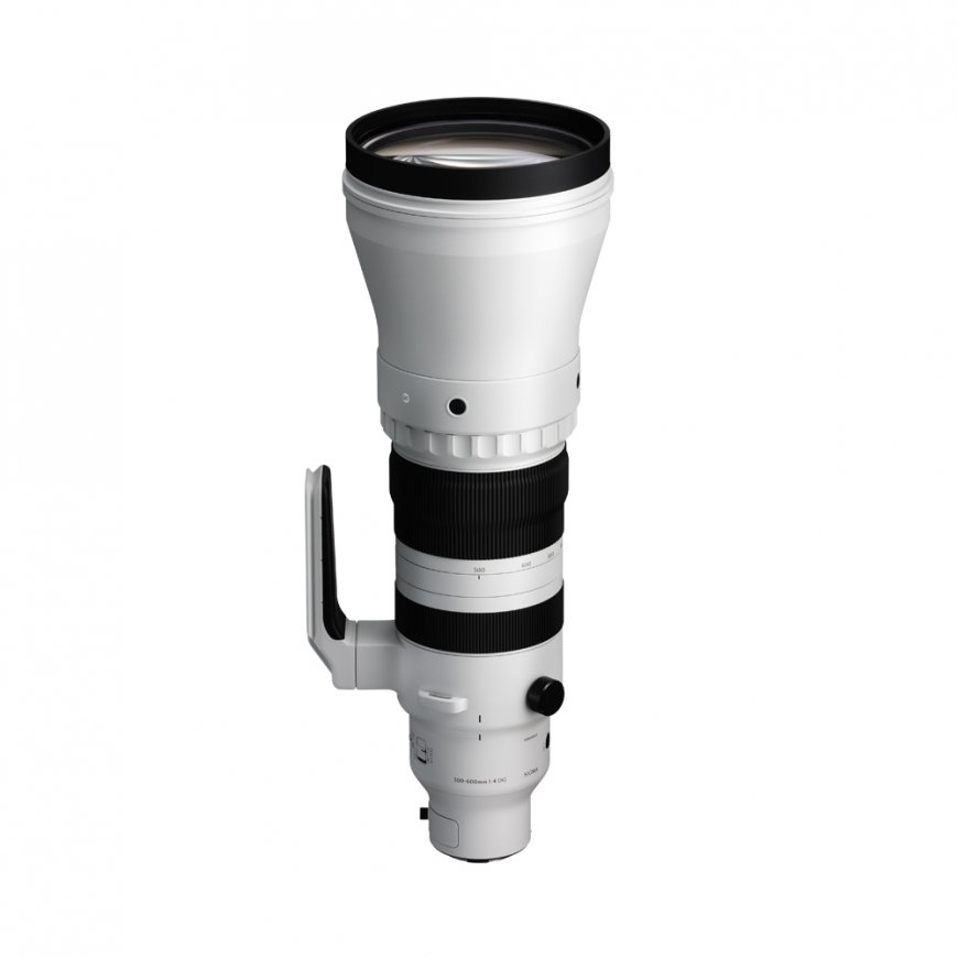 Sigma SPORTS 300-600mm F4 DG OS, Sony E-Mount – 3