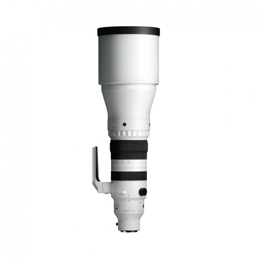 Sigma SPORTS 300-600mm F4 DG OS, Sony E-Mount – 4