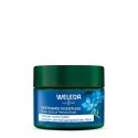 Weleda 6820CH Päeva- või öökreem Päevakreem Nägu 40 ml Weleda 6820CH Päeva- või öökreem Päevakreem Nägu 40 ml