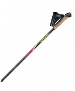 Gabel FX-75 Snake Carbon 115cm