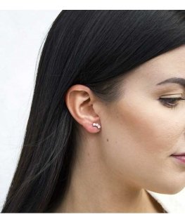 Beneto Silver drop earrings with clear crystals AGUP2703