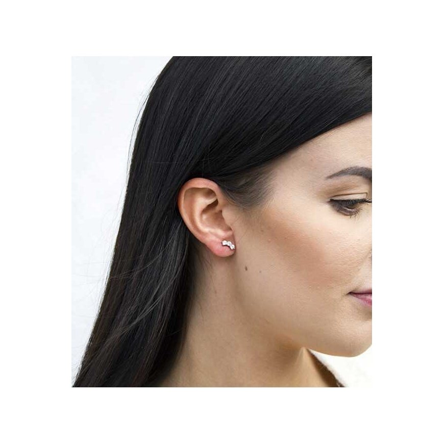 Beneto Silver drop earrings with clear crystals AGUP2703