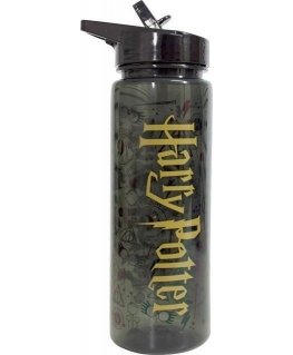 Warner Bros Discovery Harry Potter drinking glass, 750 ml.