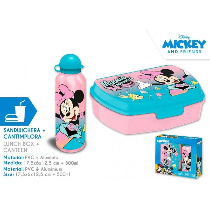 Disney Minnie Mouse aluminum bottle 500 ml + lunch box