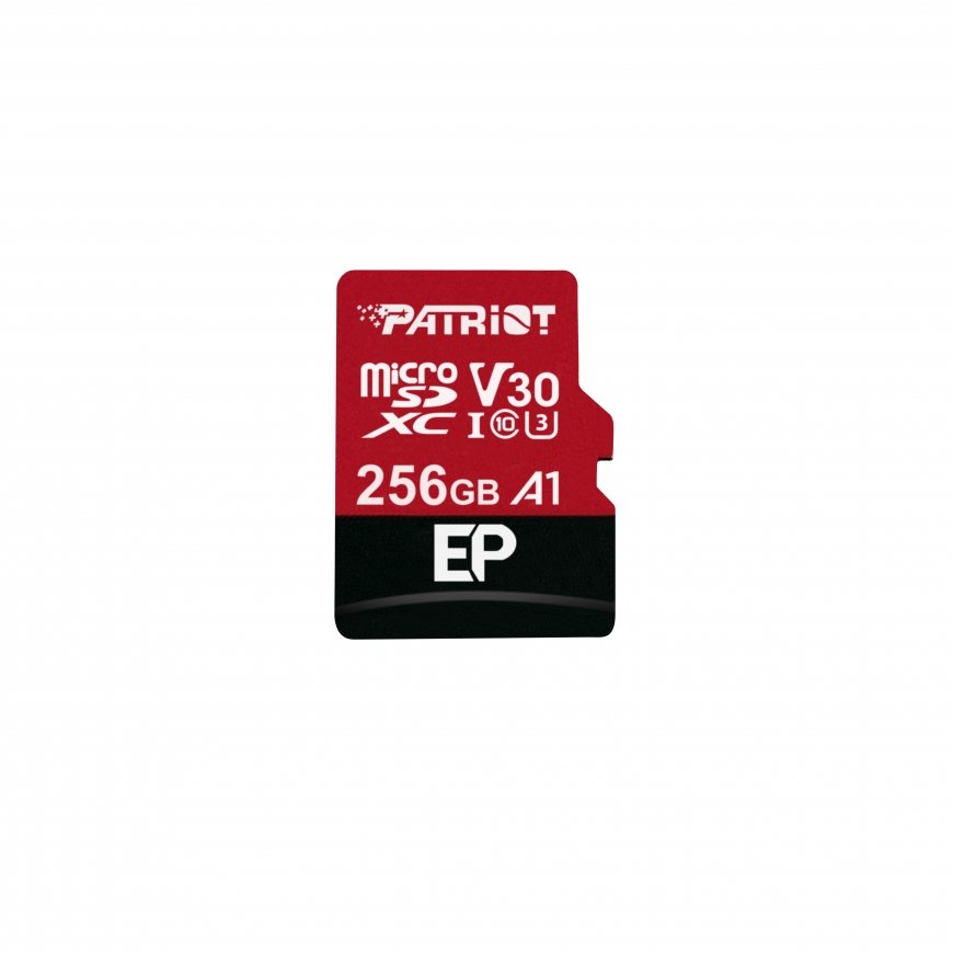 Patriot Memory Patriot Memory PEF256GEP31MCX zibatmiņa
