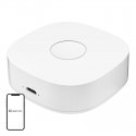 Smart home WS2GW-R WiFi Smart home WS2GW-R WiFi