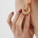 Elegant gold-plated steel earrings Elegant gold-plated steel earrings