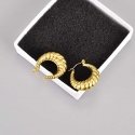 Elegant gold-plated steel earrings Elegant gold-plated steel earrings