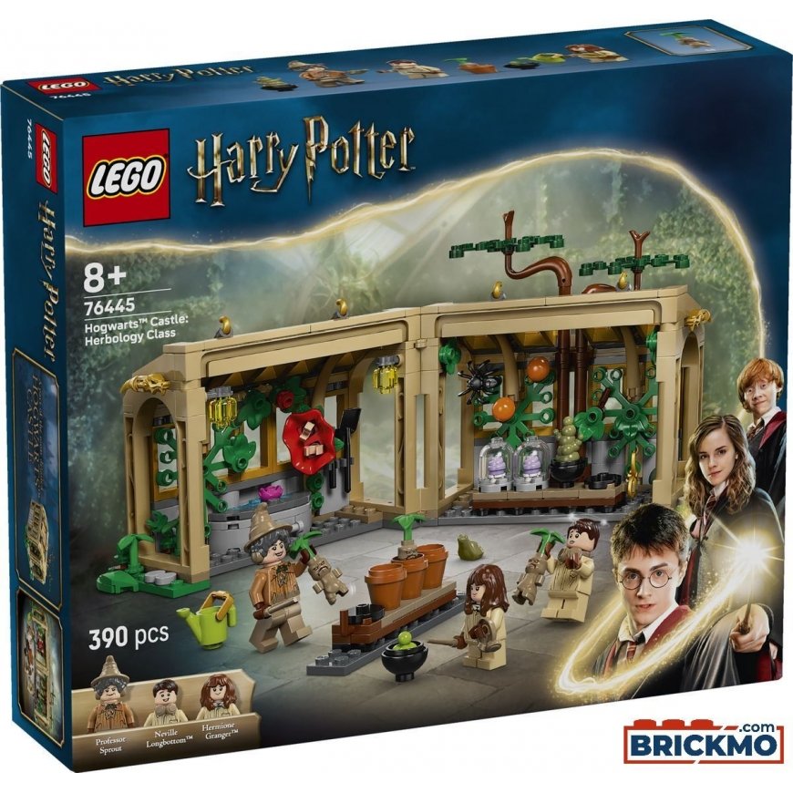 LEGO Harry Potter Hogwarts pils: Augu