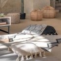 Atmosphera Decorative Cushion with Tassels, 50 x 50 cm Atmosphera Decorative Cushion with Tassels, 50 x 50 cm