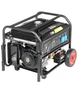 Dynamo GENERATORIAUS DY-6020/PRO 5000 W Dinamo