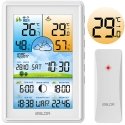 Berdsen Meteorological Station with screen BD-906 white