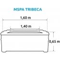 Marimex Whirlpool MSPA Tribeca - MO