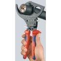 Knipex 95 31 250 tangid Näpitstangid Knipex 95 31 250 tangid Näpitstangid