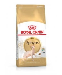 Royal Canin Sphynx sausā barība kaķiem 2 kg Pieaudzis suns Cūkgaļa