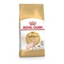 Royal Canin Sphynx сухой корм для кошек 2 kg Взрослый свинина