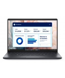 DELL Pro 13 Premium PA13250