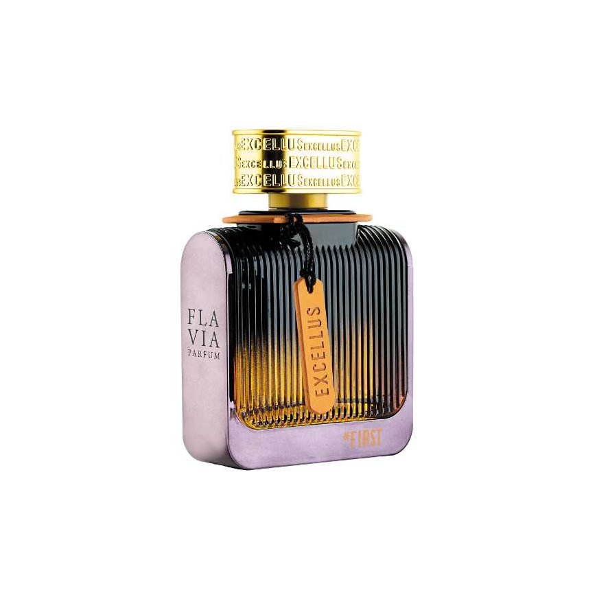 Flavia Excellus First Pour Homme - EDP 100ml Kvepalai Vyrams EDP – 3