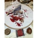 Набор для вышивания крестиком "Waxwing" 19x19,5 см SANS-72 Набор для вышивания крестиком "Waxwing" 19x19,5 см SANS-72