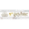 Warner Bros Discovery Harry Potter Slytherin nerūsējošā tērauda pudele - 700 ml Warner Bros Discovery Harry Potter Slytherin nerūsējošā tērauda pudele - 700 ml