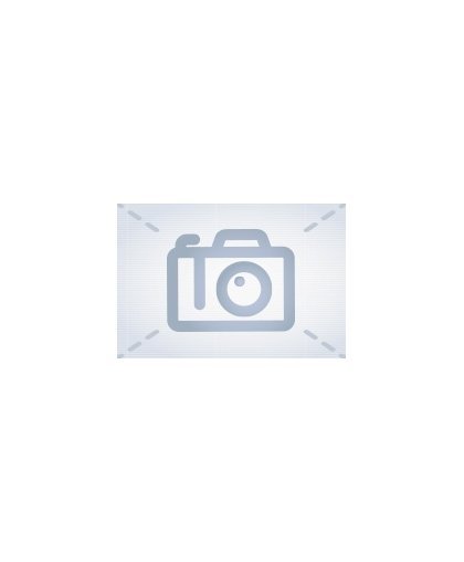 RoGer VR1 Car video recorder Full HD / microSD / LCD 2.4'' + Holder