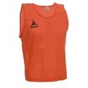 Training tabs SELECT Basic SIZE mini