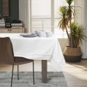 AmeliaHome TCLOTH/AH/EMPIRE/BRD/PPG/Балтас/110X200 AmeliaHome TCLOTH/AH/EMPIRE/BRD/PPG/Балтас/110X200