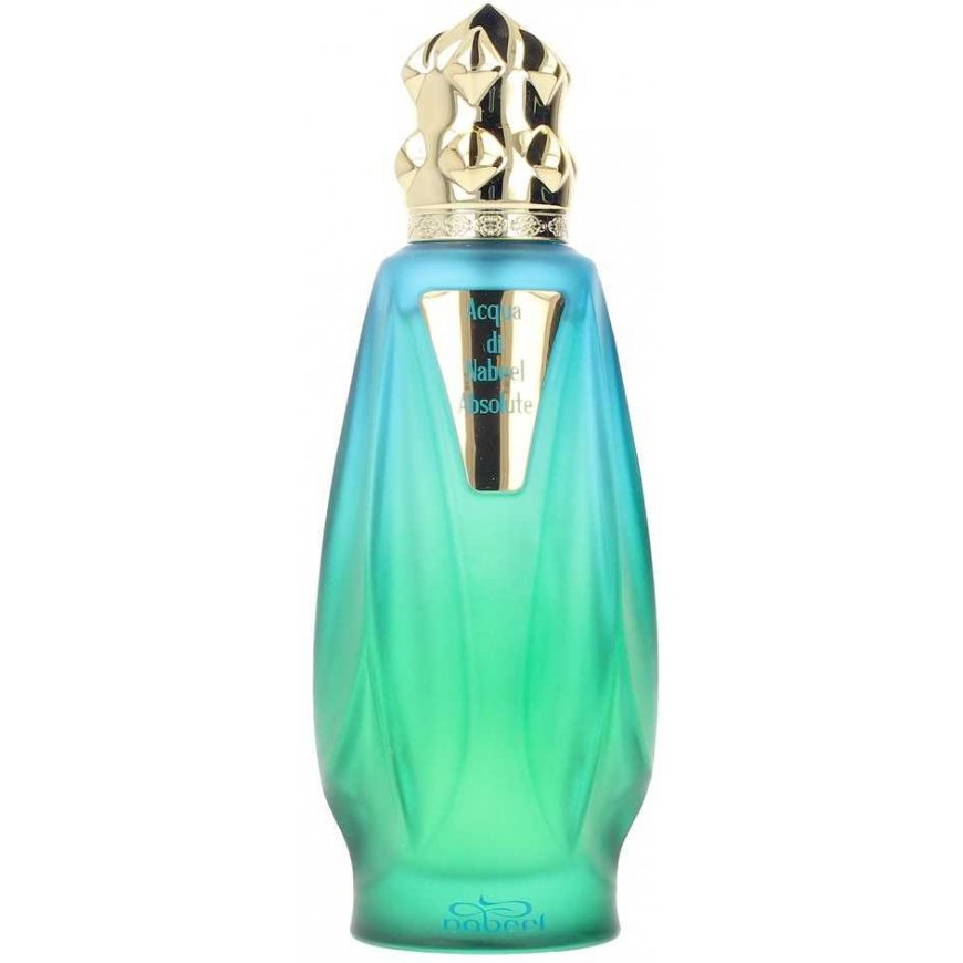 Nabeel Acqua Di Nabeel Absolute 100ml kvepalai Moterims EDP