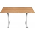 Spacetronik MOSO bambusest bürotööpind 120x60 Spacetronik MOSO bambusest bürotööpind 120x60