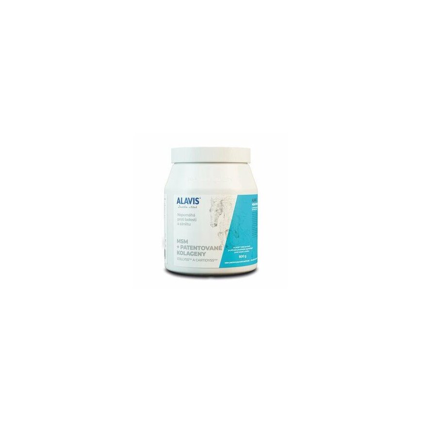ALAVIS MSM hevosille 600g