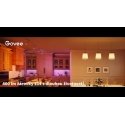 Govee smart RGBWW bulb 5W-50W 450lm E14 Long Life 2pcs Matter Govee smart RGBWW bulb 5W-50W 450lm E14 Long Life 2pcs Matter
