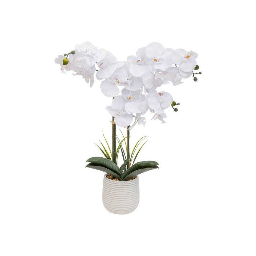 Atmosphera Tehislik orhidee potis RIVA, 60 cm