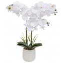 Atmosphera Tehislik orhidee potis RIVA, 60 cm Atmosphera Tehislik orhidee potis RIVA, 60 cm
