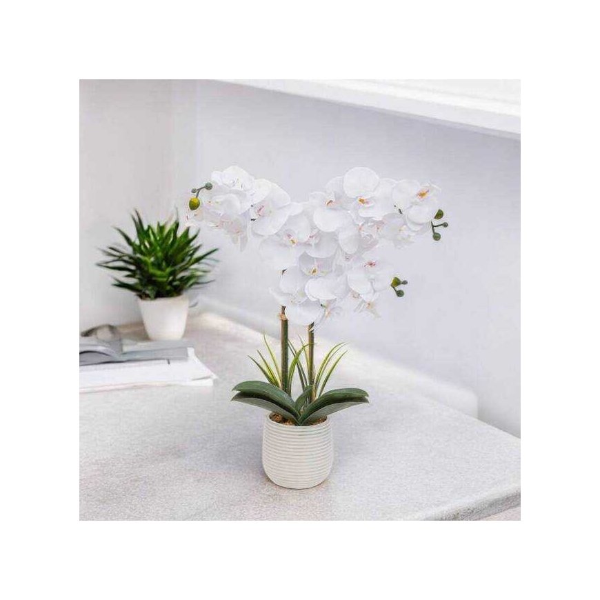 Atmosphera Tehislik orhidee potis RIVA, 60 cm – 2