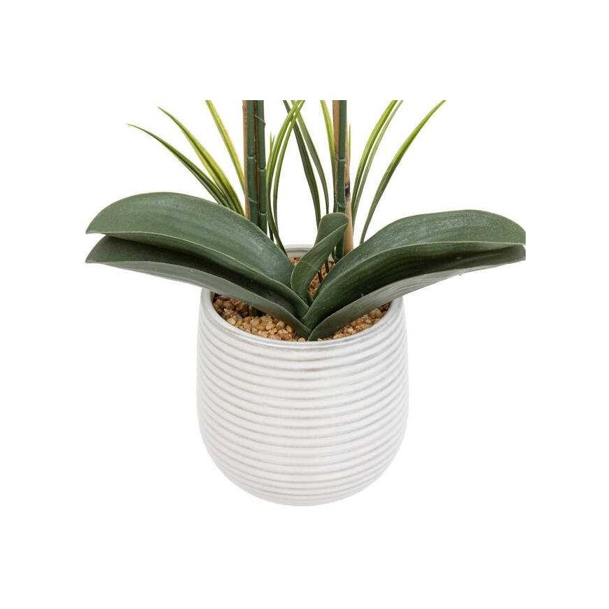Atmosphera Dirbtinė orchidėja vazone RIVA, 60 cm – 4