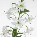 Еврофираны KW/NATU/383/B B+ZIEL Еврофираны KW/NATU/383/B B+ZIEL