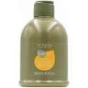 Alterego Alter Ego CureEgo Silk Effect Šampūns, 300 ml Alterego Alter Ego CureEgo Silk Effect Šampūns, 300 ml