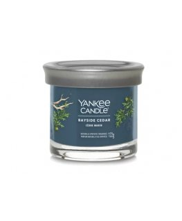 Yankee Candle 1744755E wax candle Cylinder CEDAR Blue 1 pc(s)