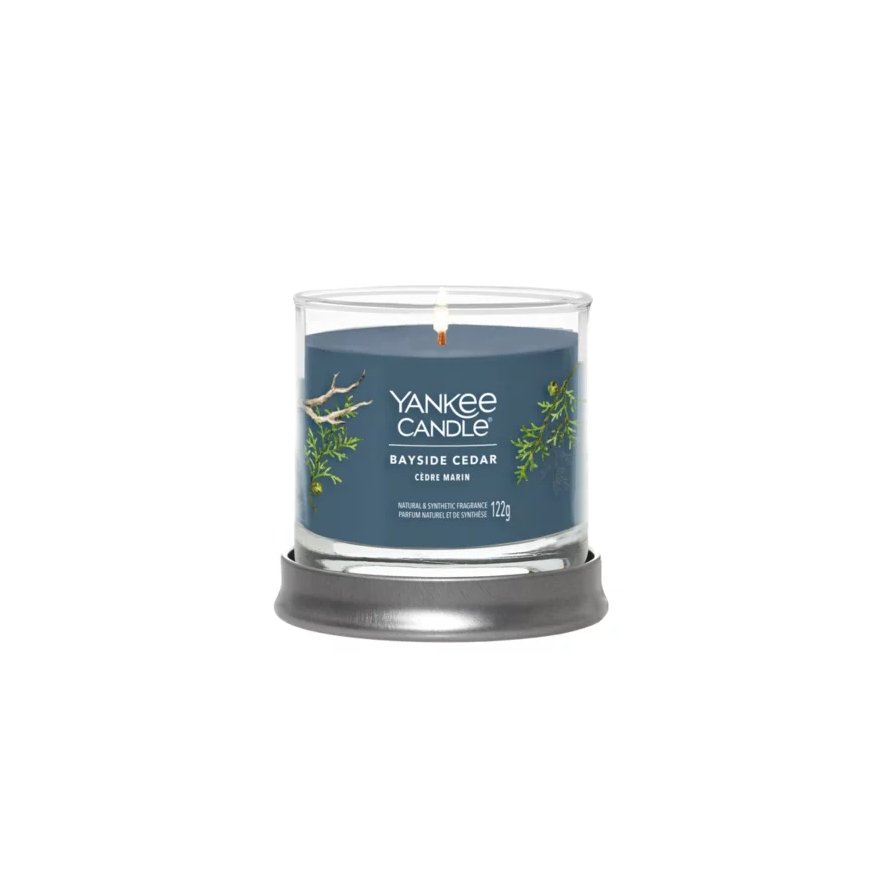 Yankee Candle 1744755E wax candle Cylinder CEDAR Blue 1 pc(s) – 2
