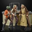 Hasbro Star Wars Must Black Series The Power Of The Force Cantina Showdown pakendi kuju 15cm