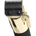 Babyliss Pro profesionalus plaukų kirpimo aparatas Boost+ Gold FX8700GBPE plaukų segtukas Babyliss Pro profesionalus plaukų kirpimo aparatas Boost+ Gold FX8700GBPE plaukų segtukas