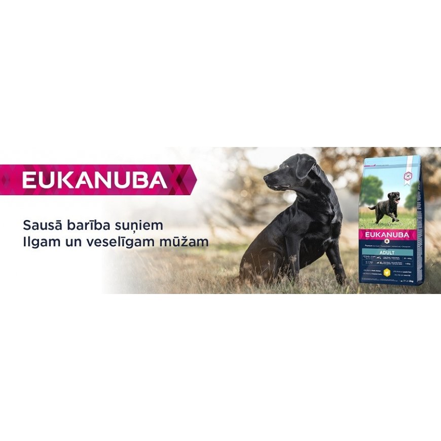 Lelu koirille - Placek Toy Dog Fantasy pallo viheltävä vihreä – 2